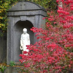 „Herbstzauber“ - Führung auf dem Ohlsdorfer Friedhof