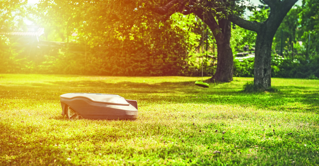 Mähroboter im Herbstgarten