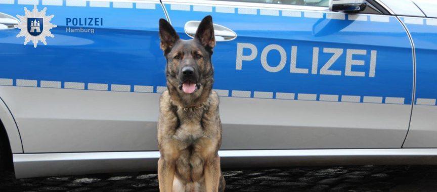 Polizeihund Balu aus Poppenbüttel