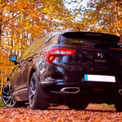 Auto von hinten steht im Herbst-Wald