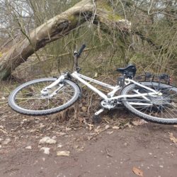 Weißes Fahrrad liegt geklaut im Gebüsch