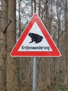 Schild warnt vor der Krötenwanderung