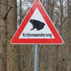 Schild warnt vor der Krötenwanderung