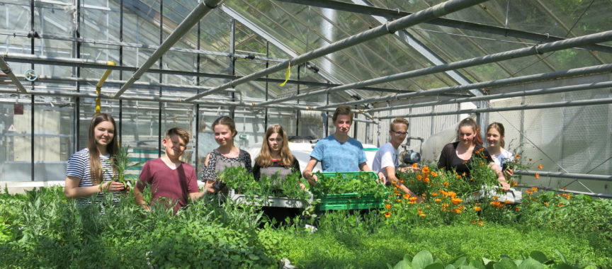 Schüler verkaufen selbstgezogene Pflanzen bei Wilde Zeiten in Volksdorf