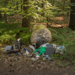 Müllecken im Wald: fotografieren und der Stadtreinigung meldenFoto: Adobestock