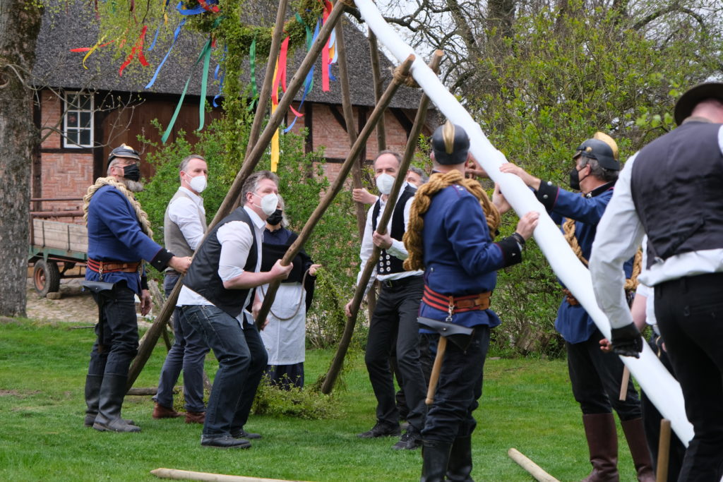 Männer stellen den Maibaum im Museumsdorf Volksdorf auf