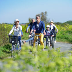 Familie fährt auf Fahrrädern, Duvenstedt erleben