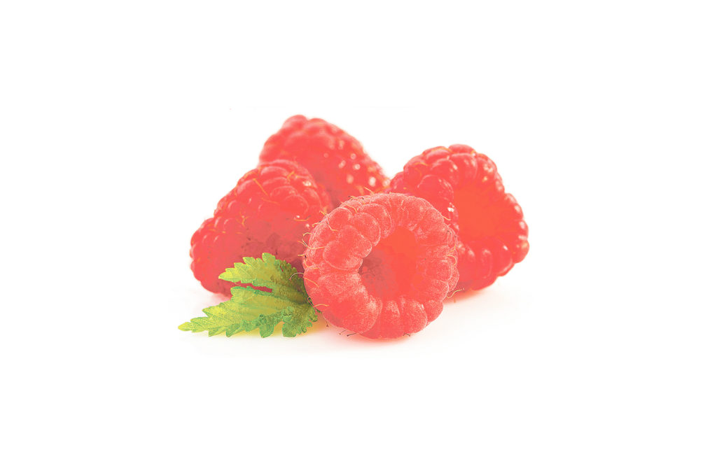 raspberry isolated on white background