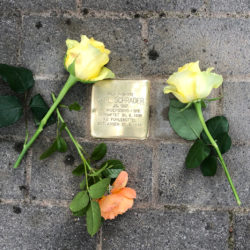 Stolperstein mit Rosen IMG_8343