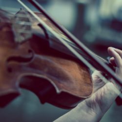 Klassisches Konzert in der Reithalle