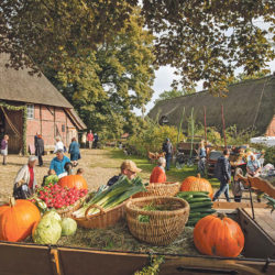 Erntefest mit  Ringreiten