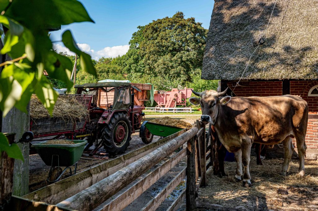 Gewinnerfoto des Fotowettbewerbs beim Heimat-Echo