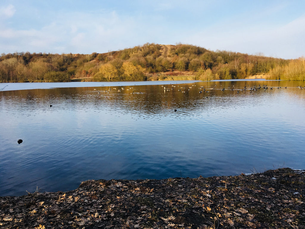 Hummelsbütteler Müllberg im Herbst_SPA_web