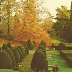 Rundgang auf dem Ohlsdorfer Friedhof