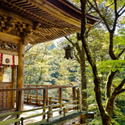 Vortrag Tradition und Moderne in Japan