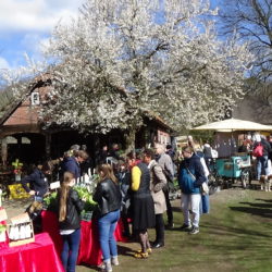 Bauernmarkt im Museumsdorf Volksdorf