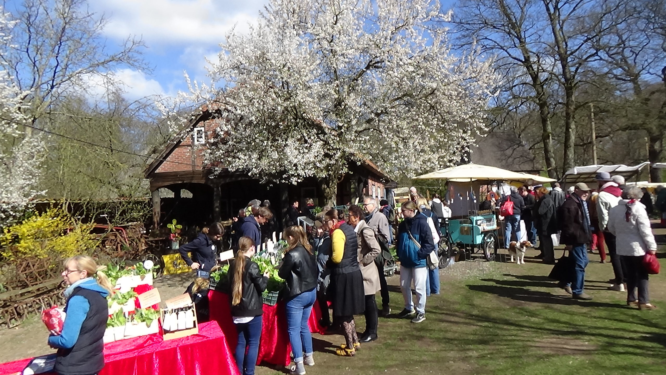 Bauernmarkt im Museumsdorf