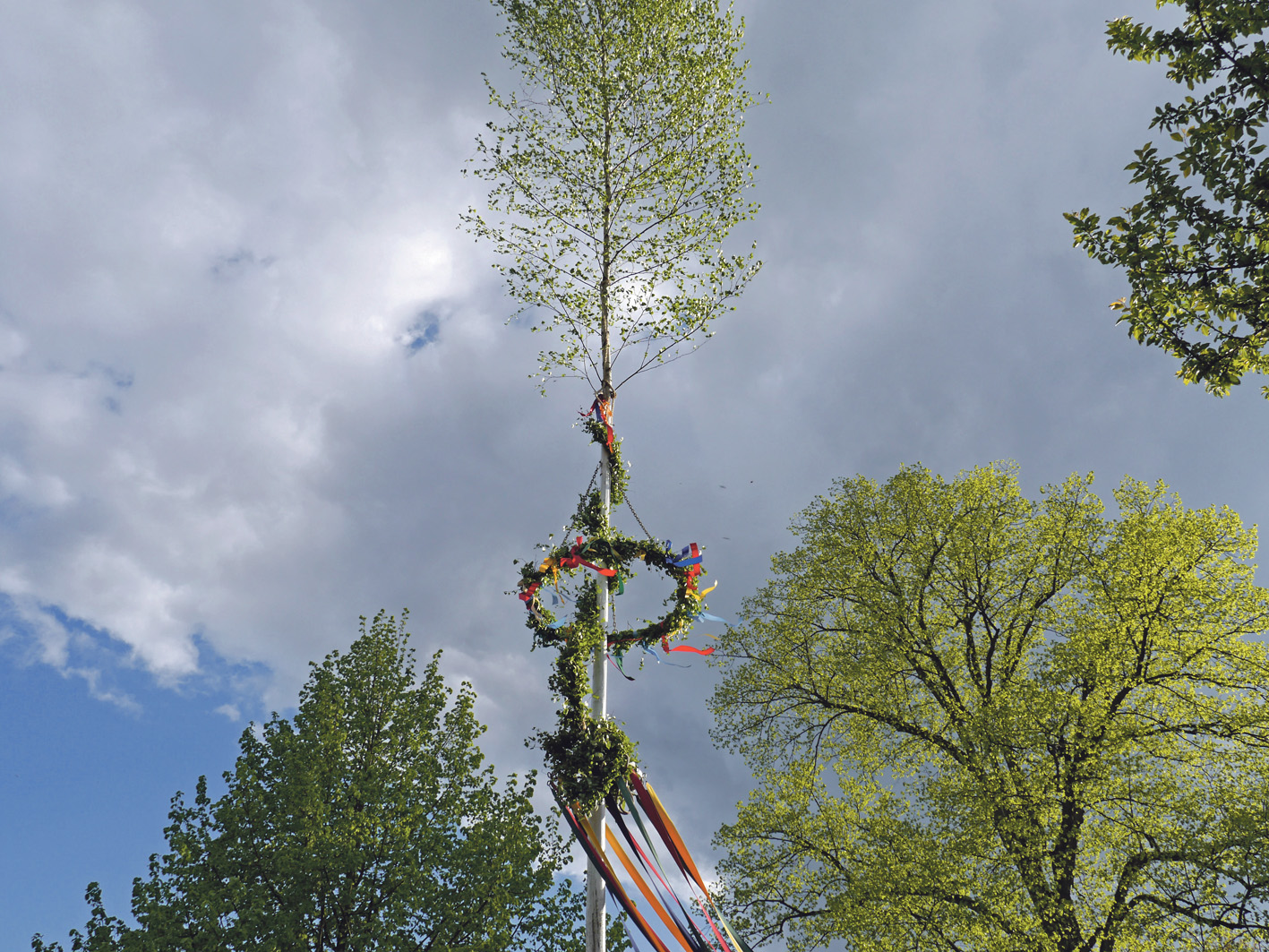 Treff unterm Maibaum