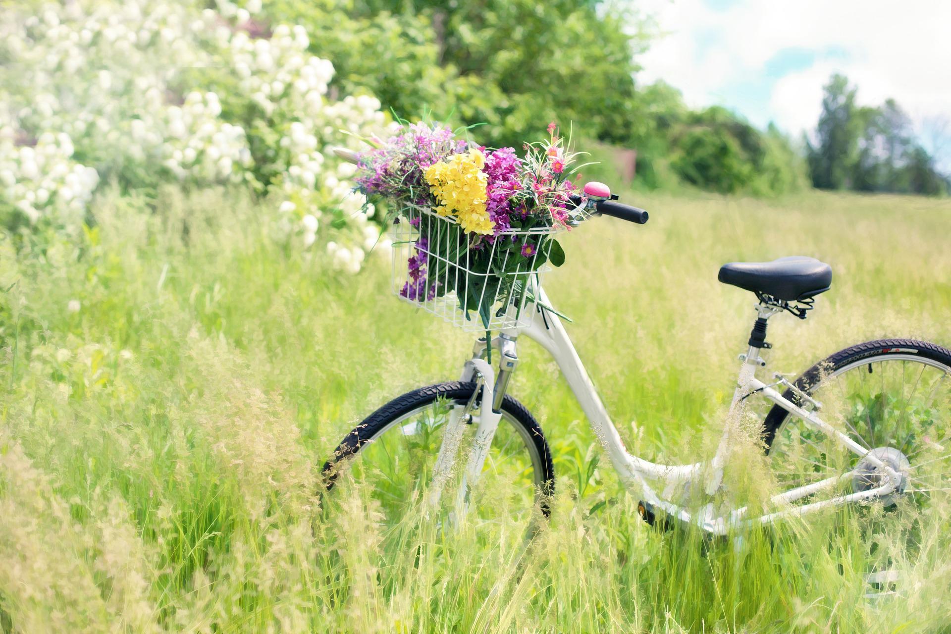 Wie geht Bio? Fahrradtour auf dem Gut Wulfsdorf