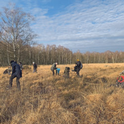 60 freiwillige Helfer hatten sich zum Aktionstag im Duven­stedter Brook eingefunden.