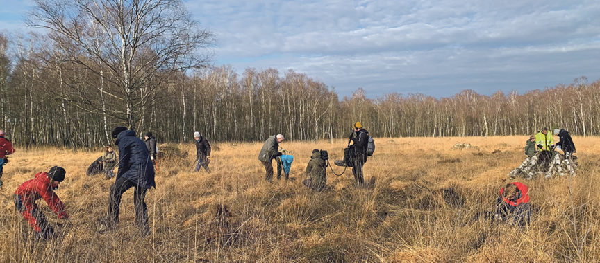 60 freiwillige Helfer hatten sich zum Aktionstag im Duven­stedter Brook eingefunden.